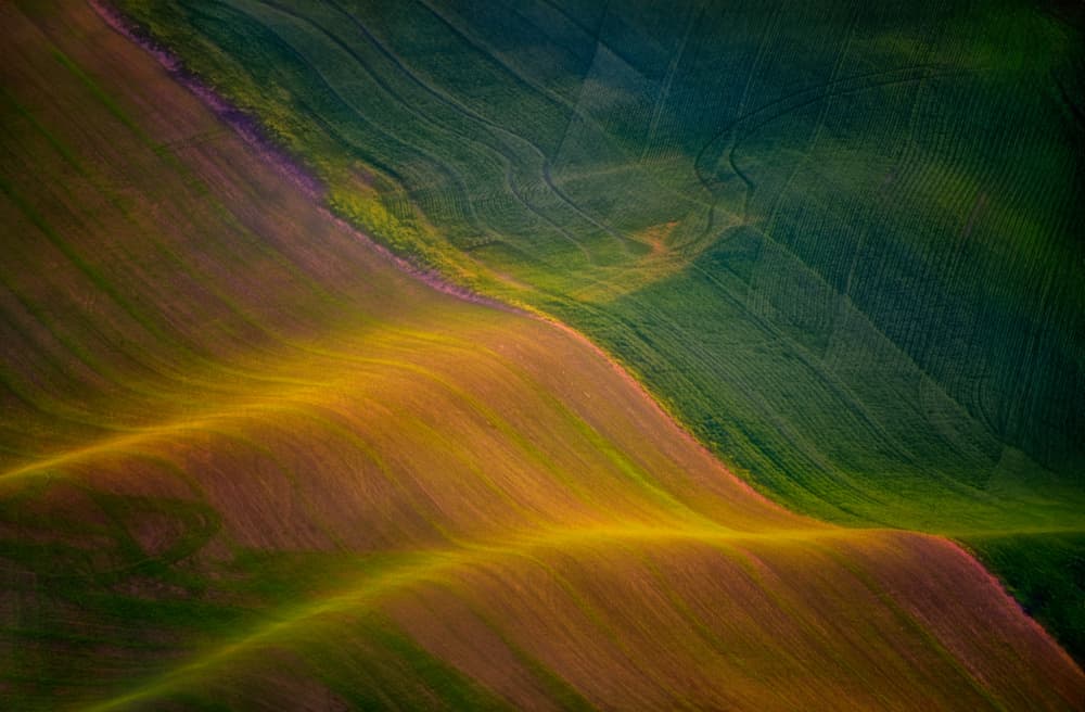 Rolling Golden Fields by Yuan Su — canvas wall art
