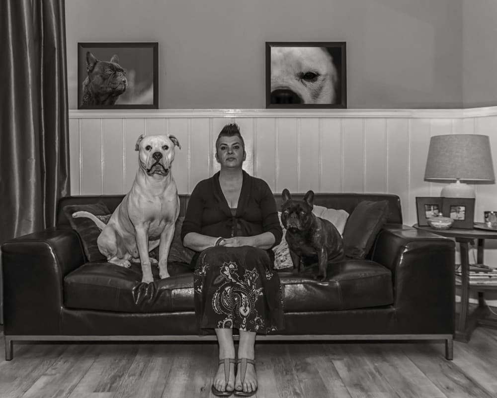 Canine Couch Companions by Jacob Tuinenga — canvas wall art