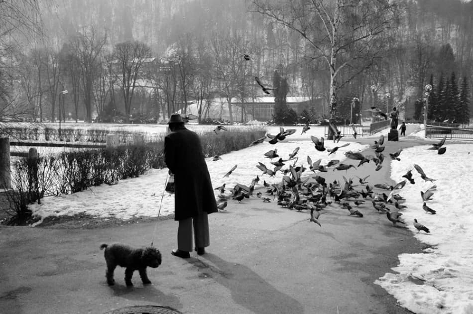 Feeding Pigeons Winter by Jure Kravanja — canvas wall art