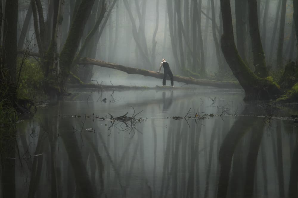 Balancing in Misty Woods by Leszek Paradowski — canvas wall art