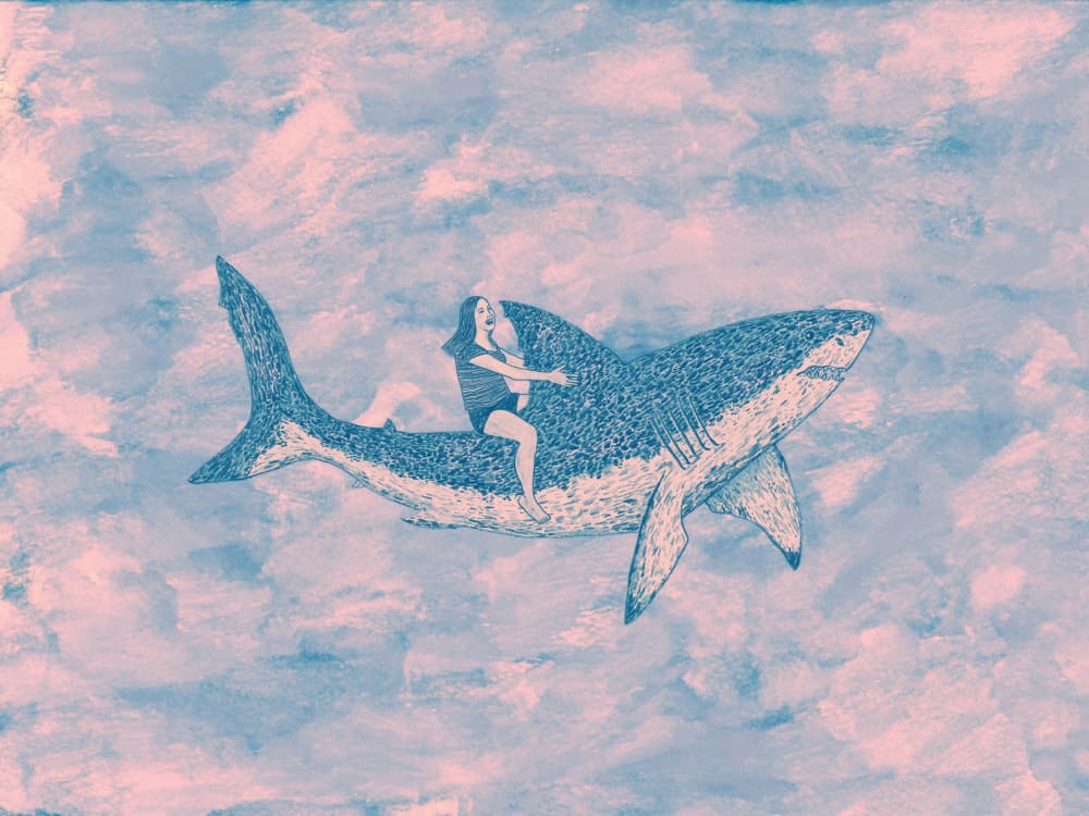 Sky Shark Rider by Martina Scott — canvas wall art