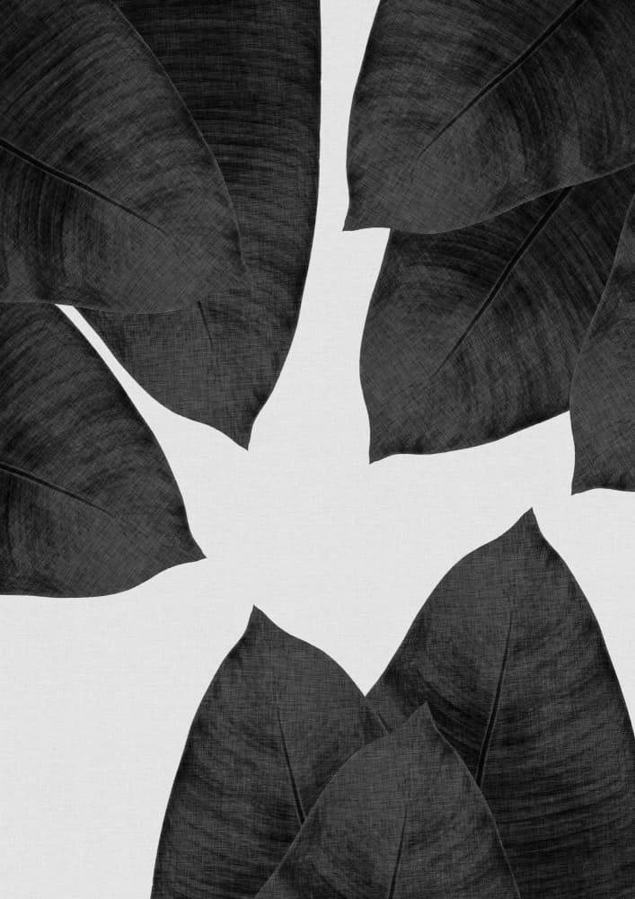 Monochrome Tropical Foliage by Orara Studio — canvas wall art