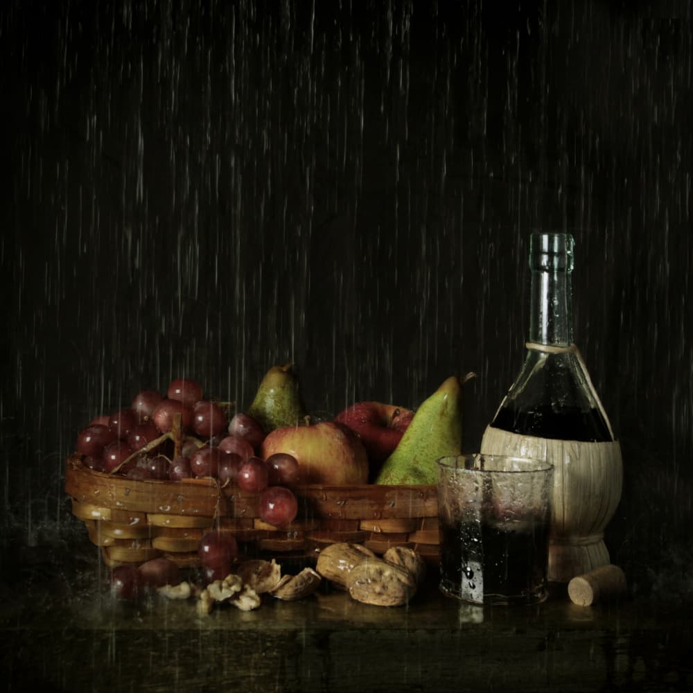 Moody Fruits and Wine by Mister Solo — canvas wall art