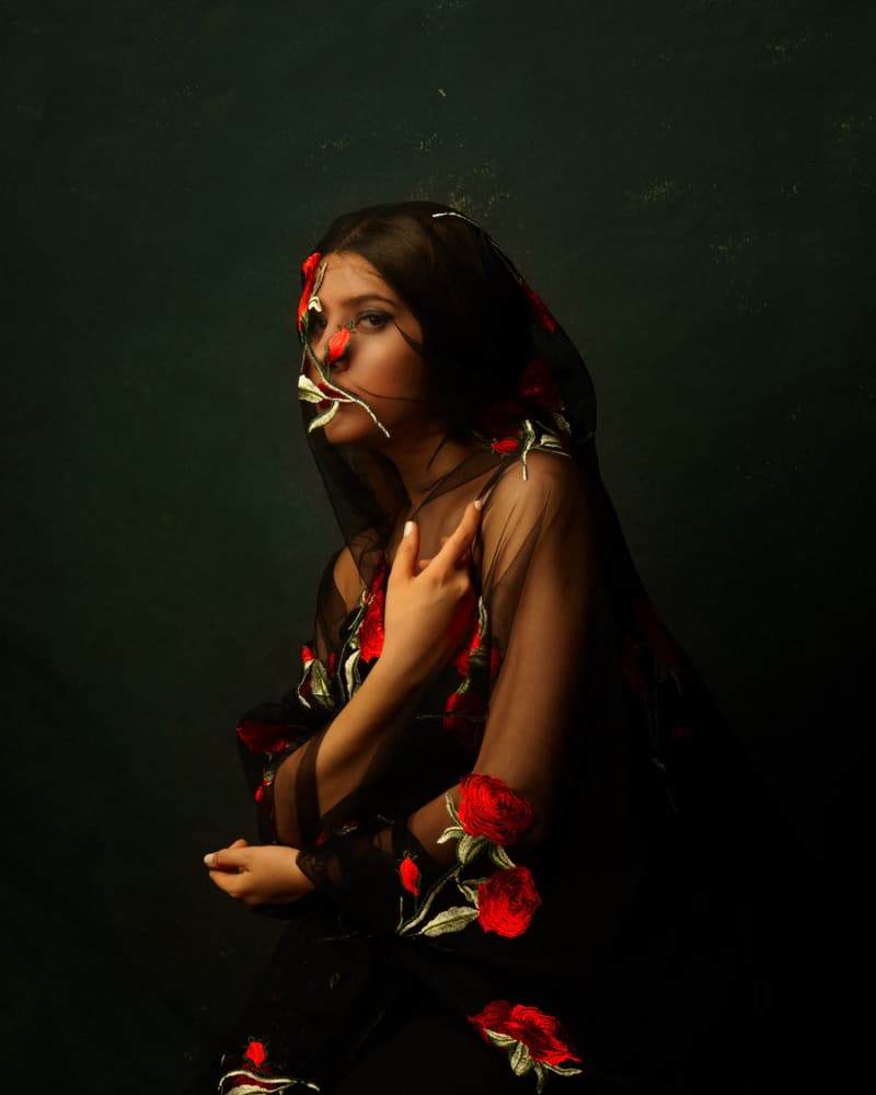 Mysterious Woman with Roses by Mehdi Mokhtari — canvas wall art
