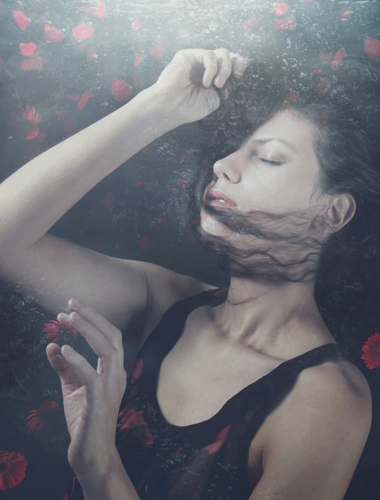 Floating Petals Dream by miriana — canvas wall art