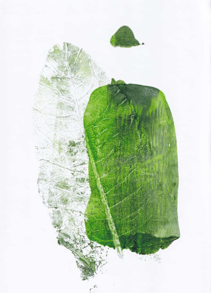 Botanical Green Shapes by Maira Ribena — canvas wall art
