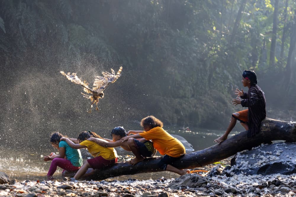 Joyful River Eagle by Sally Widjaja — canvas wall art