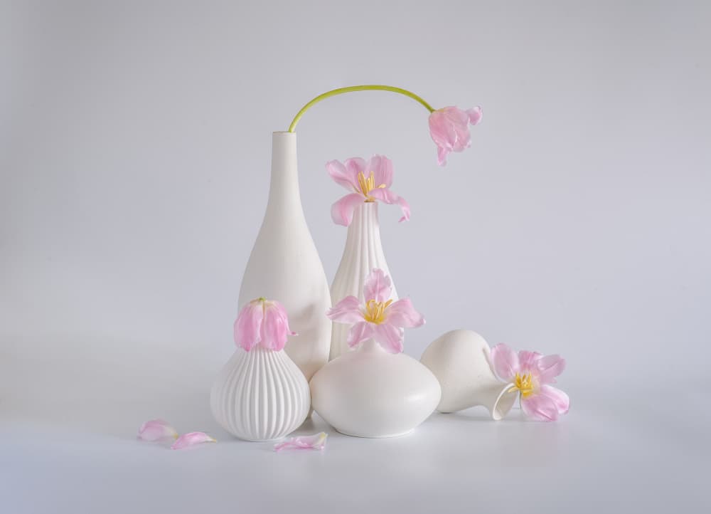 Soft Pink Tulip Still Life by Alice Sheng — canvas wall art