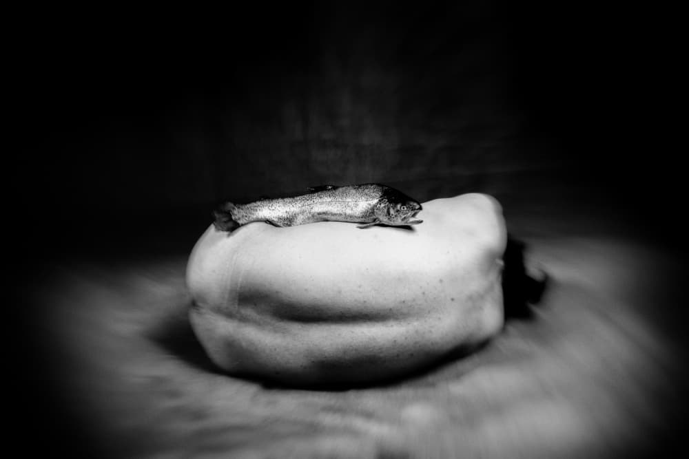 Moody Fish Still Life by Afshin Saeidinia — canvas wall art