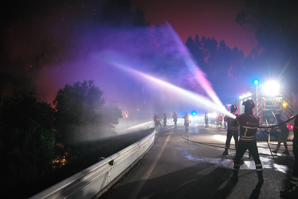 Firefighters Battle Wildfire by Rui Caria — canvas wall art