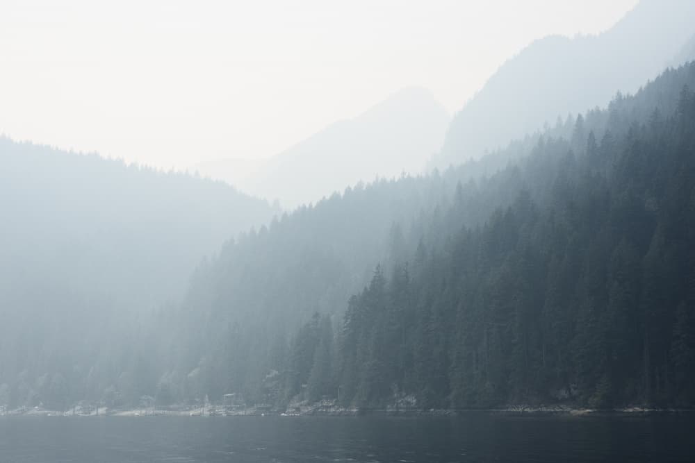 Misty Mountain Lake by Lynann Colligan — canvas wall art