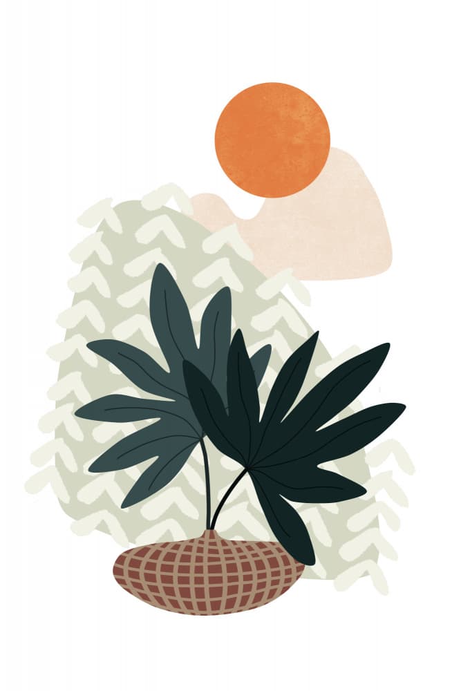 Boho Plant Sun by amini54 — canvas wall art
