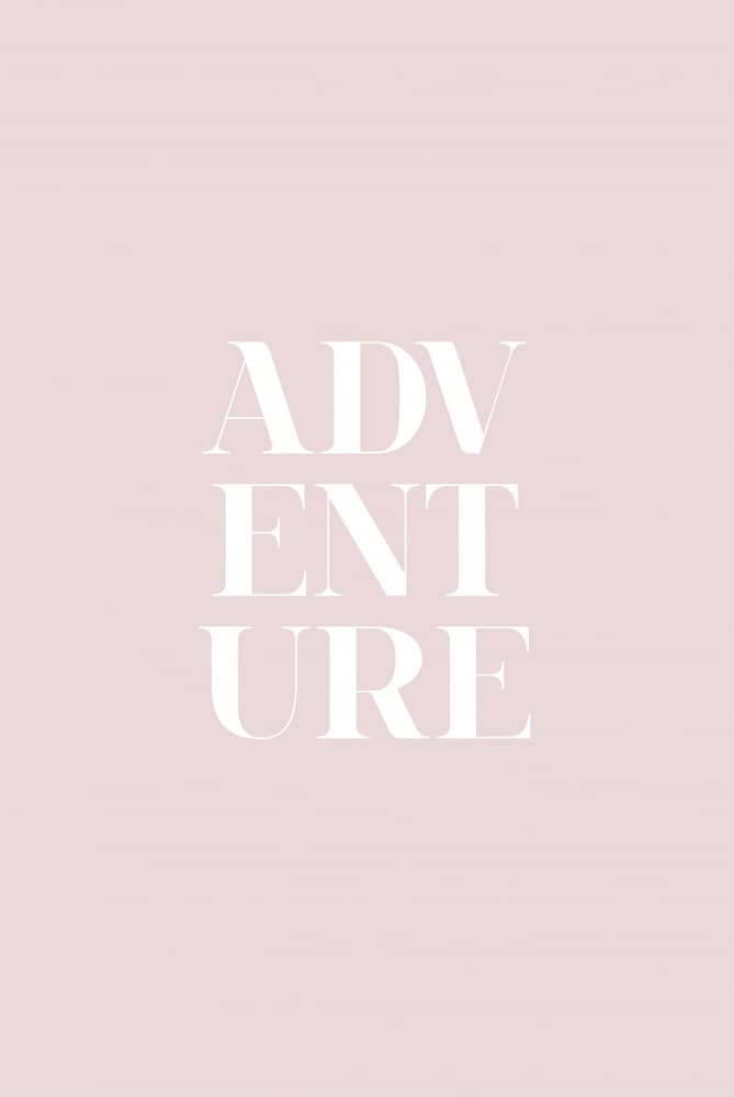 Blush Pink Adventure by Oju Design — canvas wall art