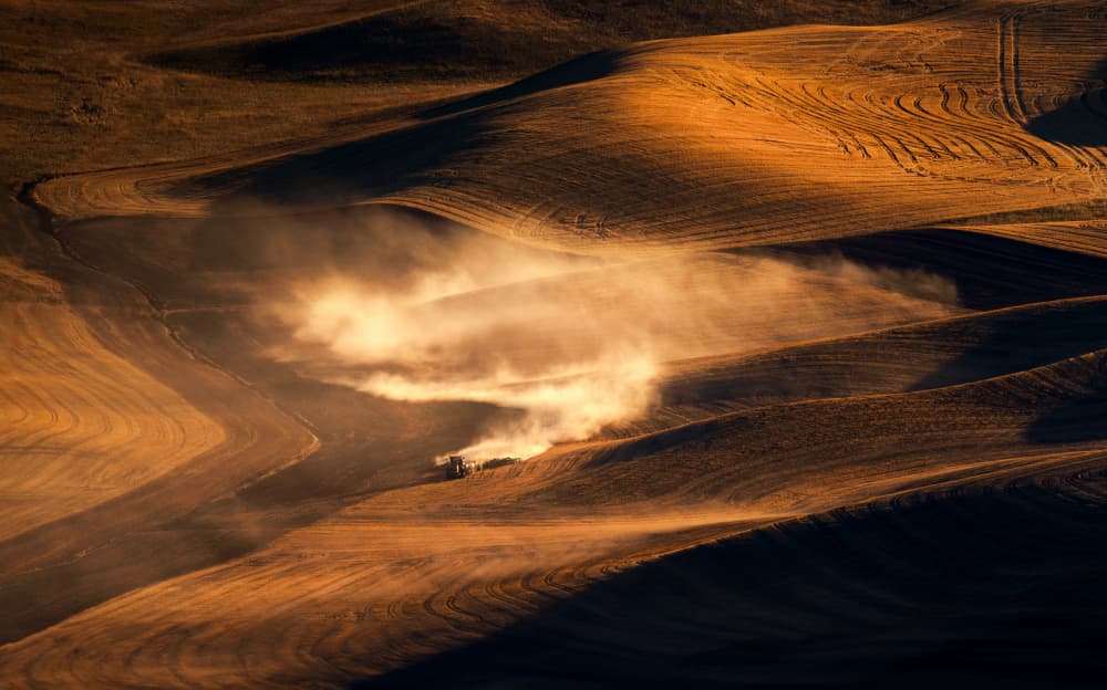 Golden Dust Fields by Joanna W — canvas wall art