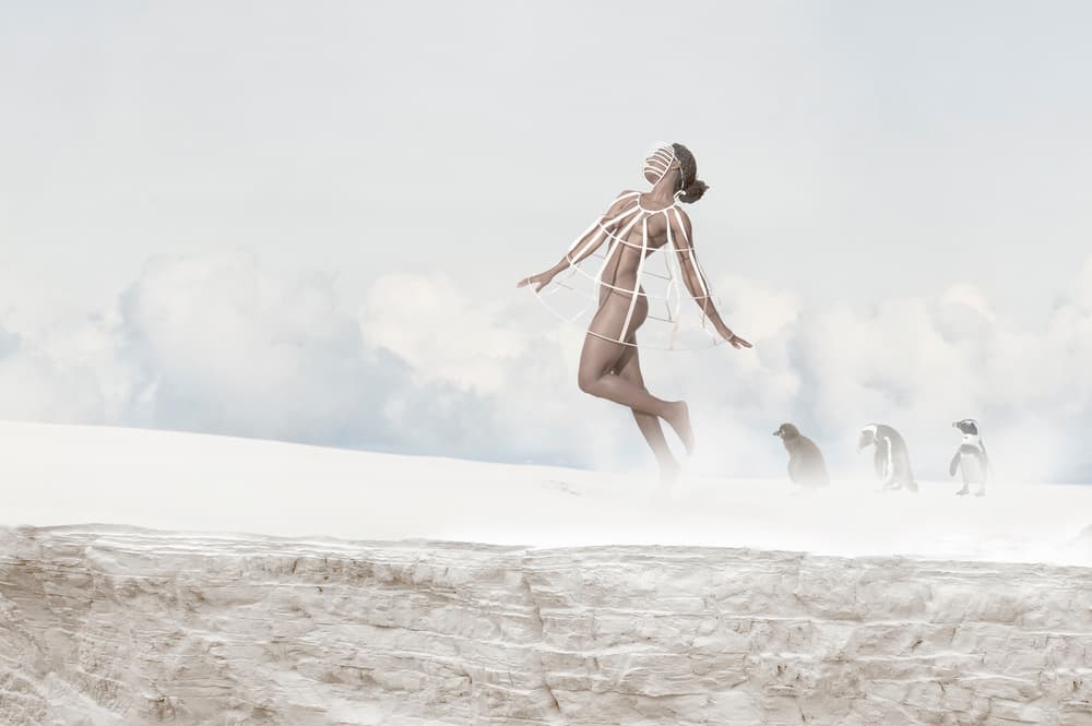 Flying Woman Penguins by Christine von Diepenbroek — canvas wall art