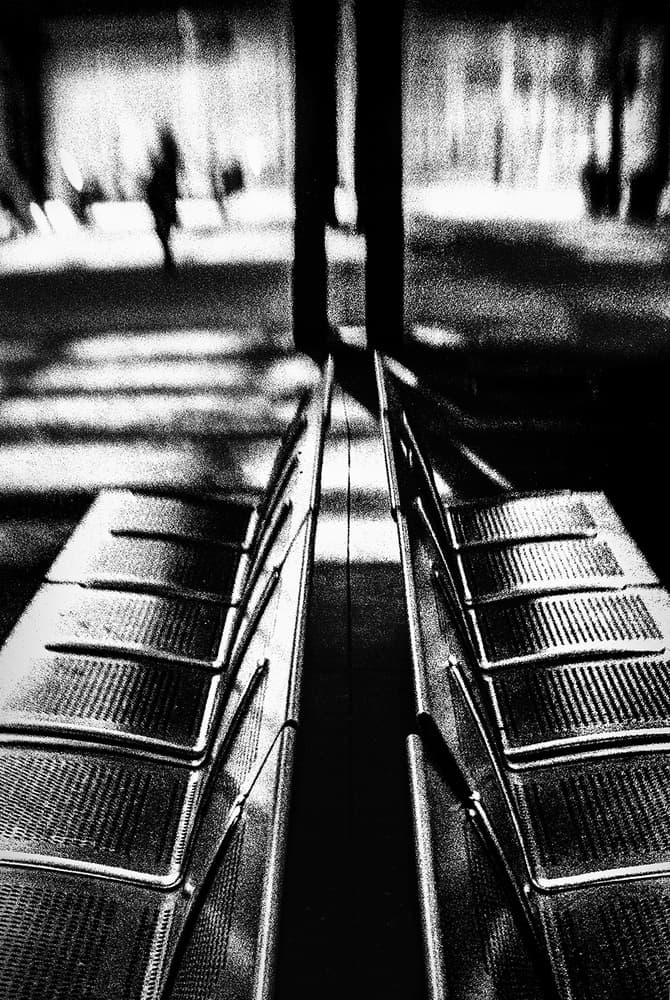 Empty Benches Lone Walker by Paulo Abrantes — canvas wall art