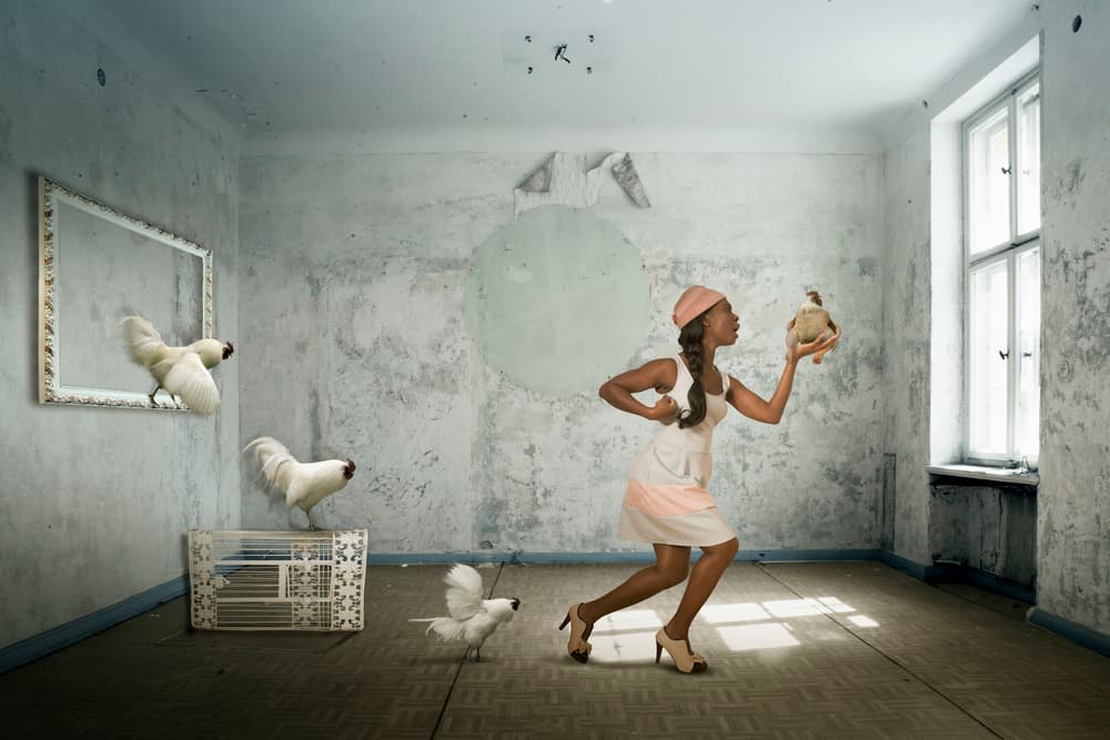 Dancing Woman and Chickens by Christine von Diepenbroek — canvas wall art