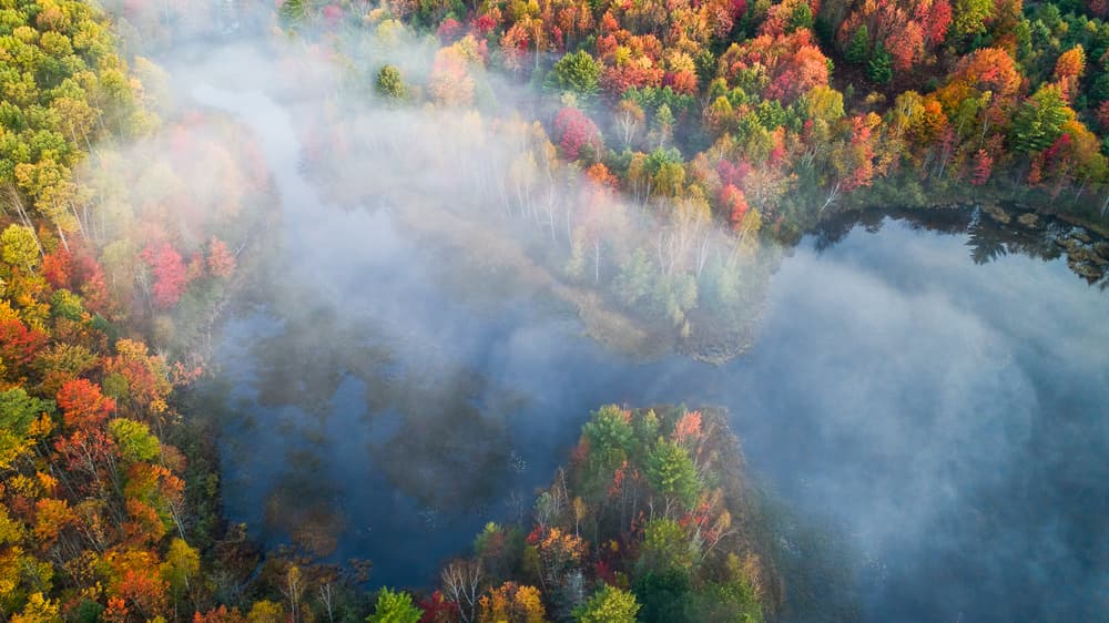 Misty Autumn River by John Fan — canvas wall art