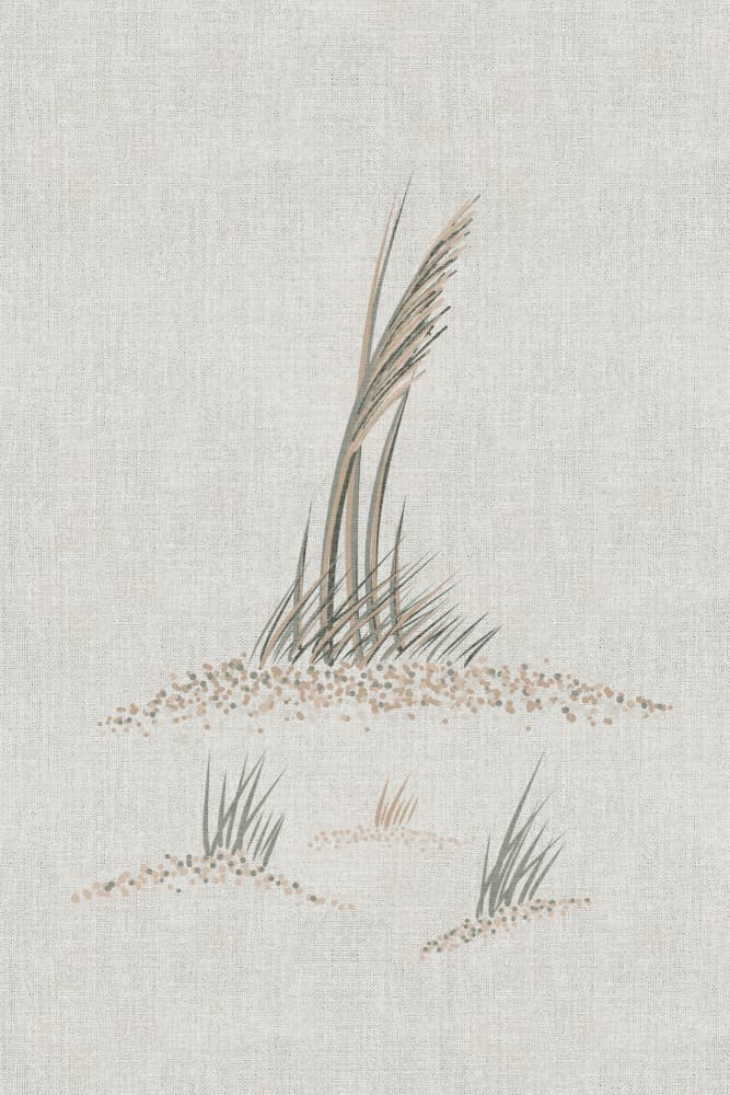 Coastal Dune Grass by Alexandra Weise — canvas wall art