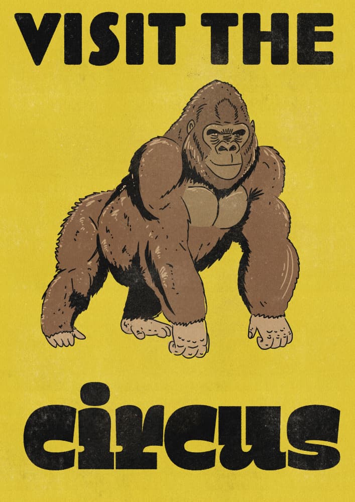 Retro Circus Gorilla by Nicholas — canvas wall art