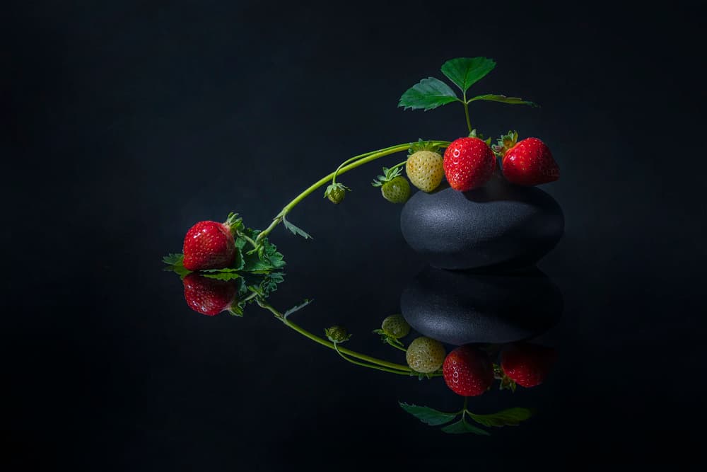 Elegant Dark Strawberries by Lydia Jacobs — canvas wall art