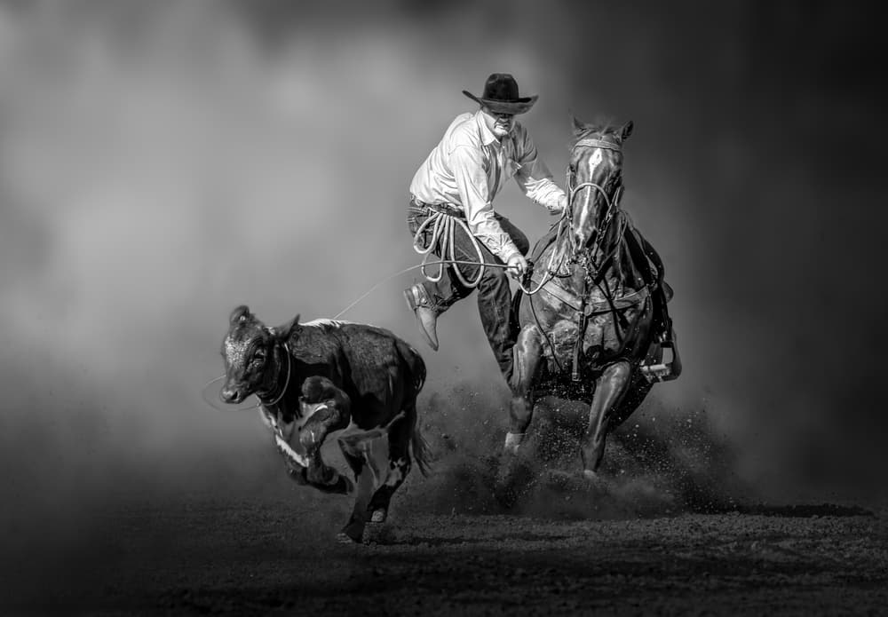 Cowboy Roping Action by Irene Wu — canvas wall art