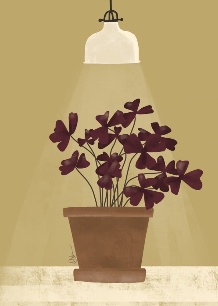Crimson Clover Glow by Elsa Nätterdal — canvas wall art