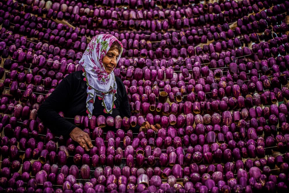 Woman Drying Purple Eggplants by Ummu Nisan Kandilcioglu — canvas wall art