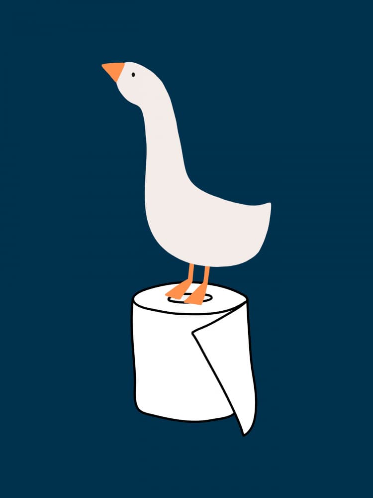 Goose on Toilet Paper by Jolly and Dash — canvas wall art