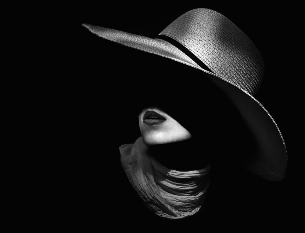 Shadowed Elegance by Toni Fidanza — canvas wall art