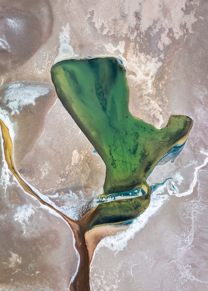 Aerial Green Earth by Shenshen Dou — canvas wall art