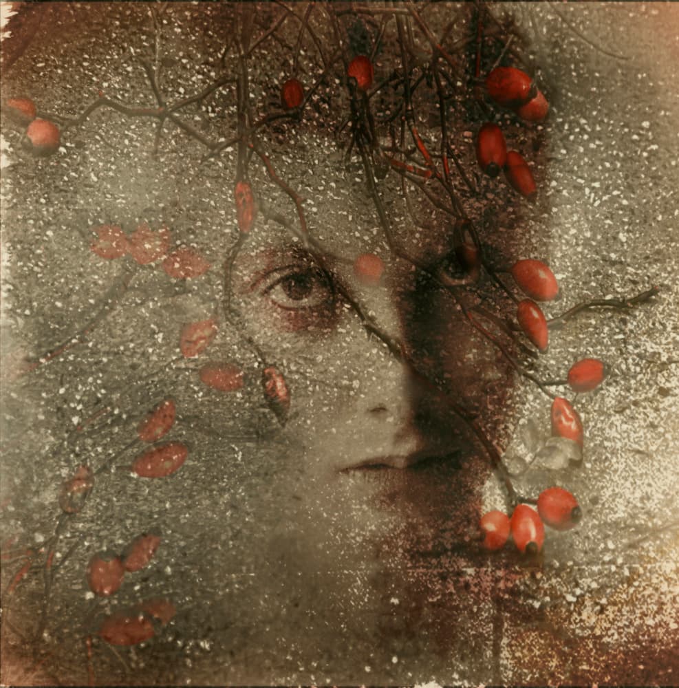 Dreamy Winter Portrait by Desislava Ignatova — canvas wall art