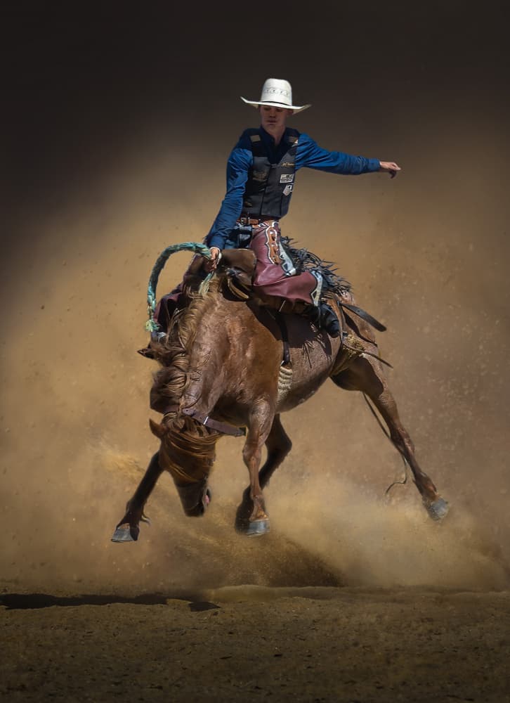 Wild Rodeo Ride by Irene Wu — canvas wall art