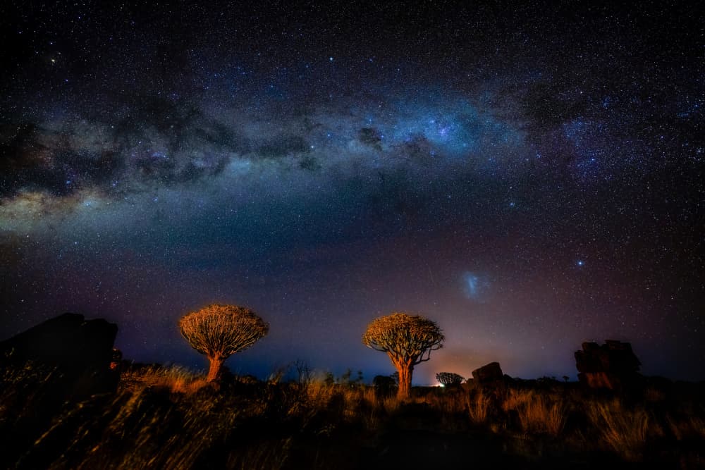 Milky Way Over Quiver Trees by MIN LI — canvas wall art