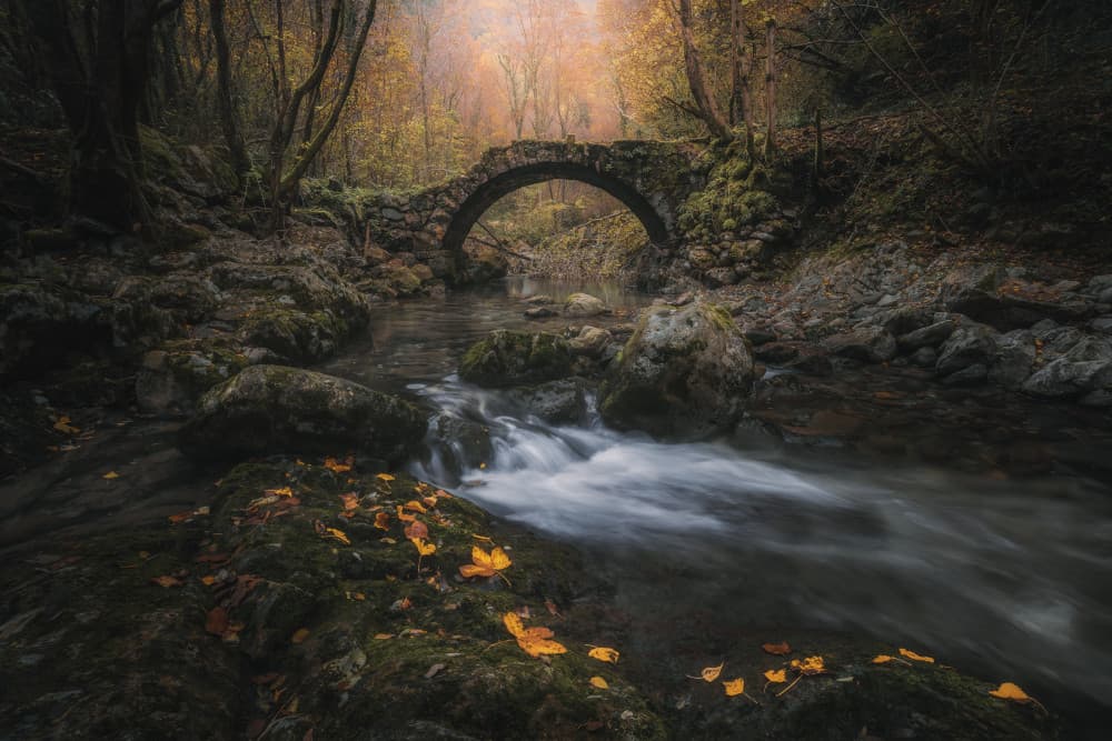 Autumn Forest Bridge Stream by Thomas de Franzoni — canvas wall art