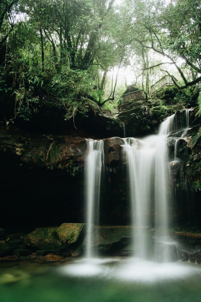 Ethereal Forest Waterfall by Ryan Braxton — canvas wall art