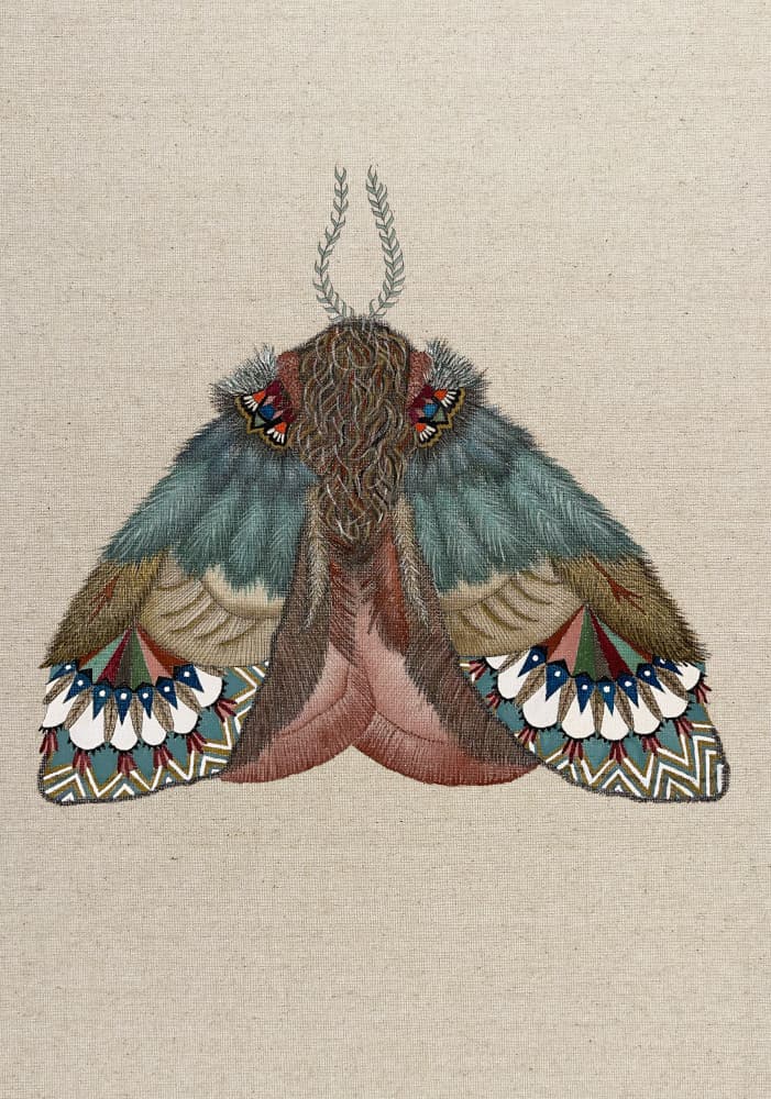 Intricate Embroidered Moth by ZAM.ROD — canvas wall art