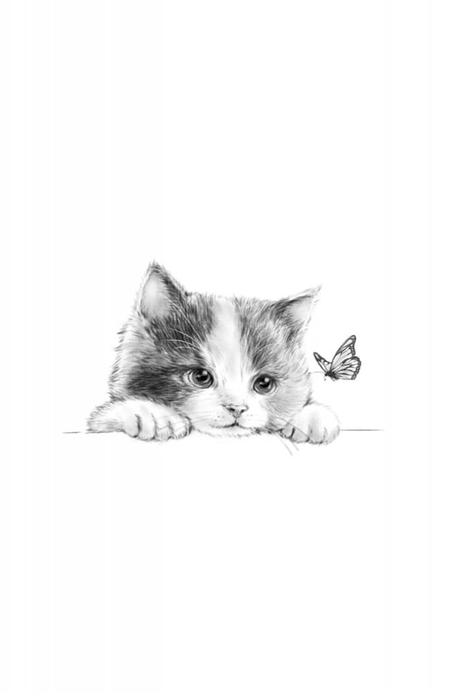 Curious Kitten And Butterfly by Xuan Thai — canvas wall art