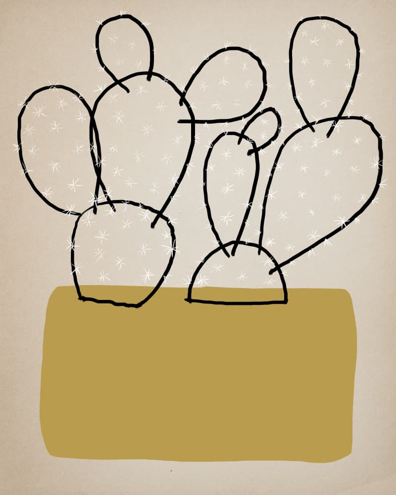 Minimalist Potted Cacti by Diana Jahns — canvas wall art