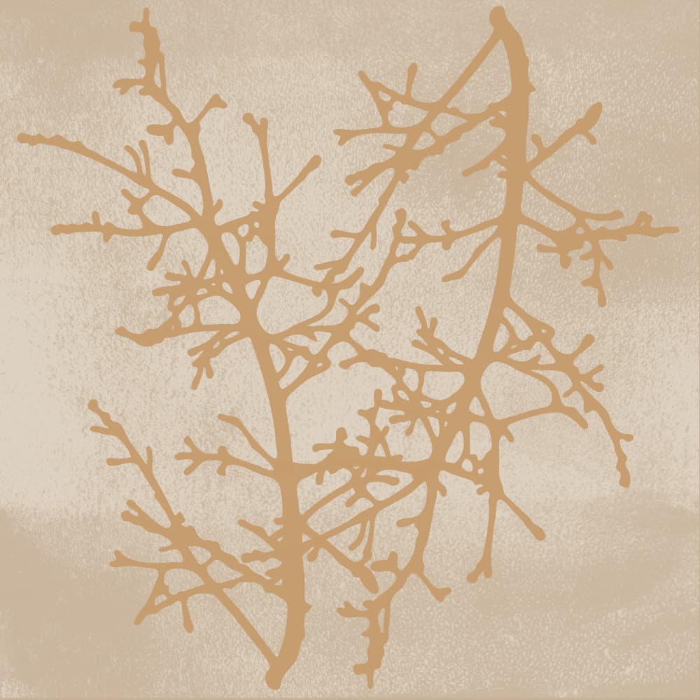 Delicate Winter Branches by Dina Dankers — canvas wall art