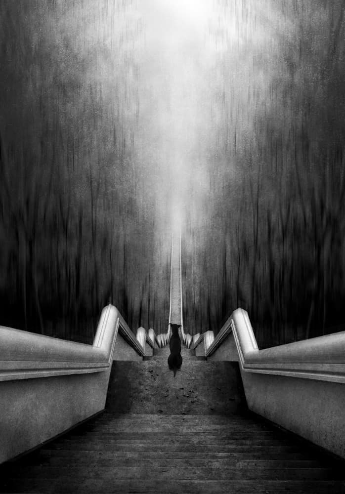 Mysterious Forest Steps by Ekkachai Khemkum — canvas wall art