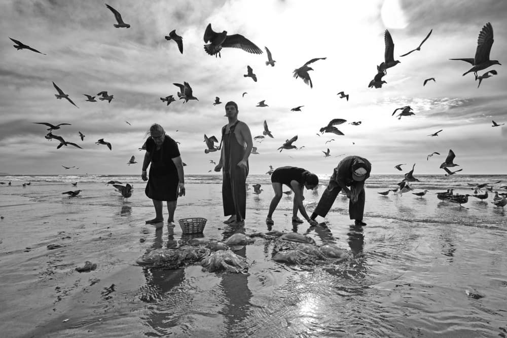 Gathering by the Sea by Josefina Melo — canvas wall art