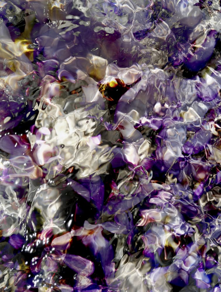 Purple Water Ripples by Angelo Cerantola — canvas wall art