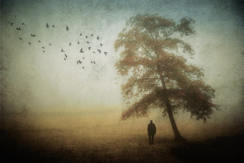 Lone Man Autumn Mist by Cristiano Giani — canvas wall art