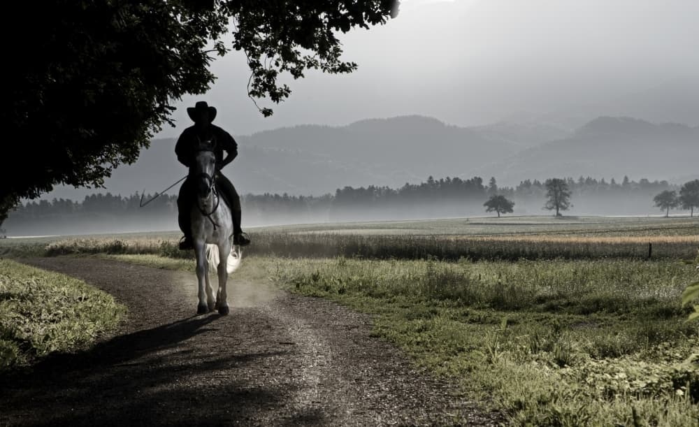 Lone Cowboy Misty Morning by Milan Malovrh — canvas wall art
