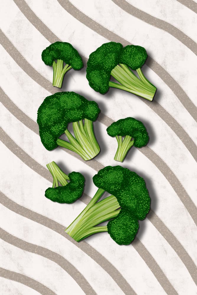 Healthy Broccoli Florets by EMELIEmaria — canvas wall art