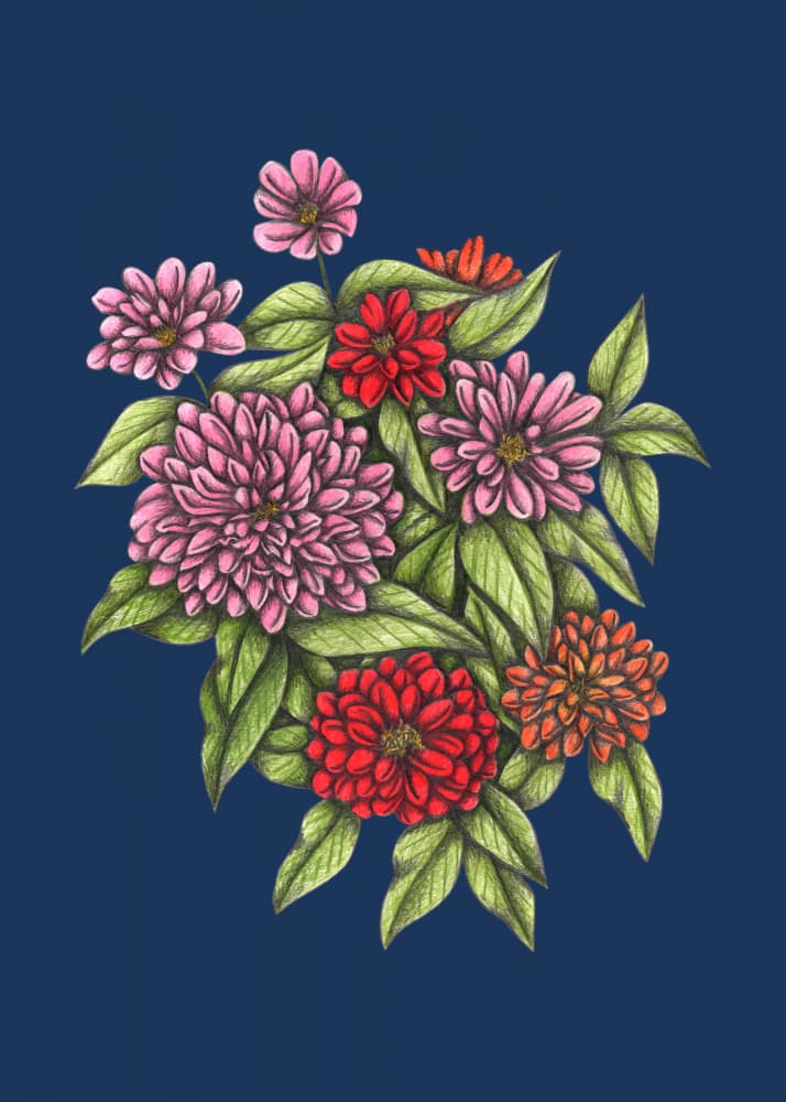 Vibrant Zinnia Bouquet by Cecilia Battaini — canvas wall art