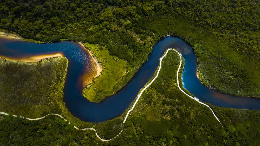 Winding River Through Forest by Irene Wu — canvas wall art