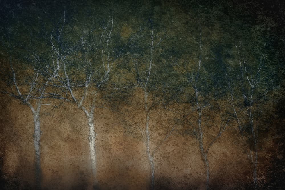 Five in a row by Nel Talen — canvas wall art