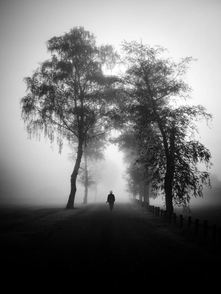 Misty Path Solitary Walk by Renate Wasinger — canvas wall art